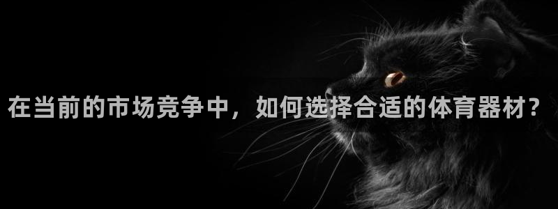 耀世娱乐是正规还是仿真:在当前的市场竞争中,如何选择合适的体